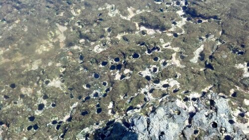 2013-02-03_13-32-27_261.jpg image