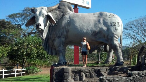 2013-02-05_08-18-54_303.jpg image