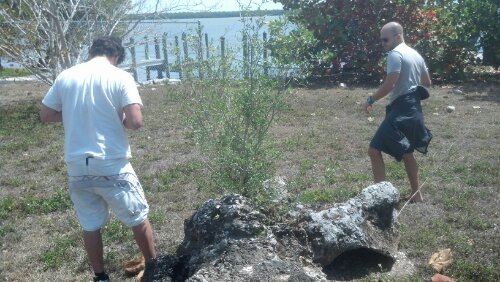 2013-03-13_13-18-06_52.jpg image