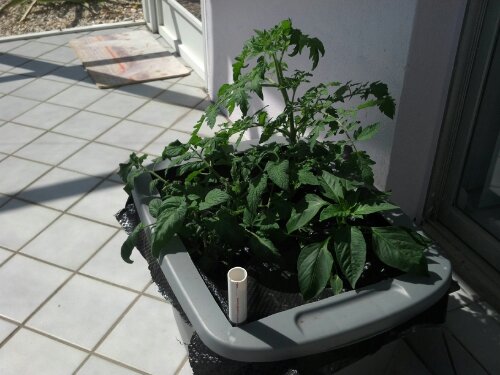 wp-1363290297599.jpg image