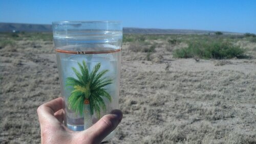 IMG_20130426_170157_328.jpg image