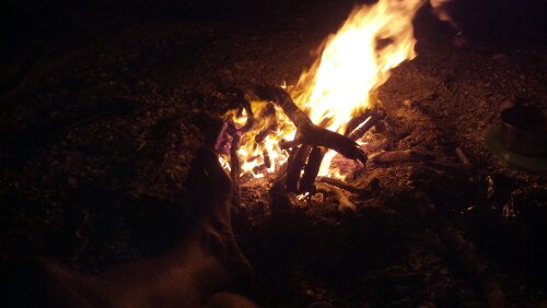 wp-1364952052072.jpg image