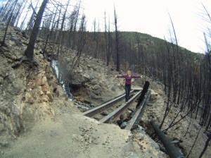 After-effects of the 2012 forest fire