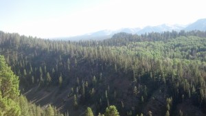 IMG_20130630_172559_678