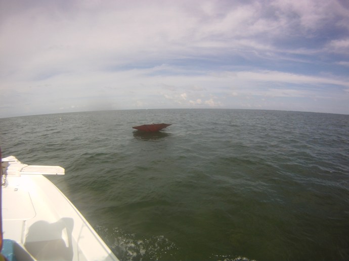 Our wayward umbrella